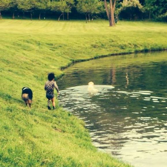 Meet your Posher, Tim - Picture 1 of 1